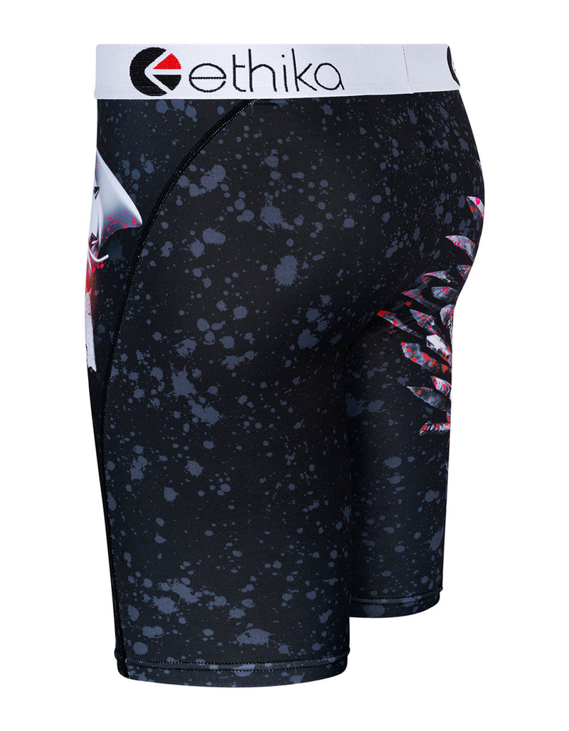 ETHIKA Leo Max Boys Boxer Briefs image number 1