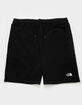 THE NORTH FACE Evolution Mens Sweat Shorts image number 1