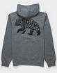 THE NORTH FACE Bear Mens Hoodie image number 1