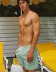 DIPPIN' DAISY'S Ken Mens Swim Shorts image number 4