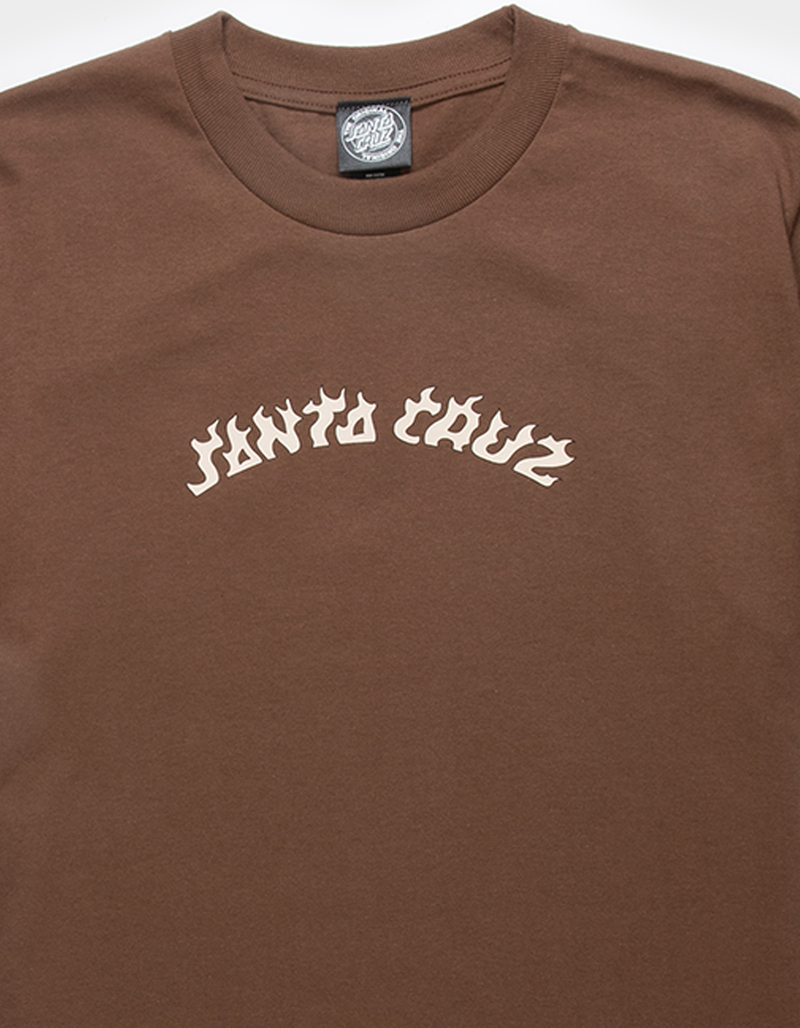 SANTA CRUZ Flame Arc Mens Tee image number 1