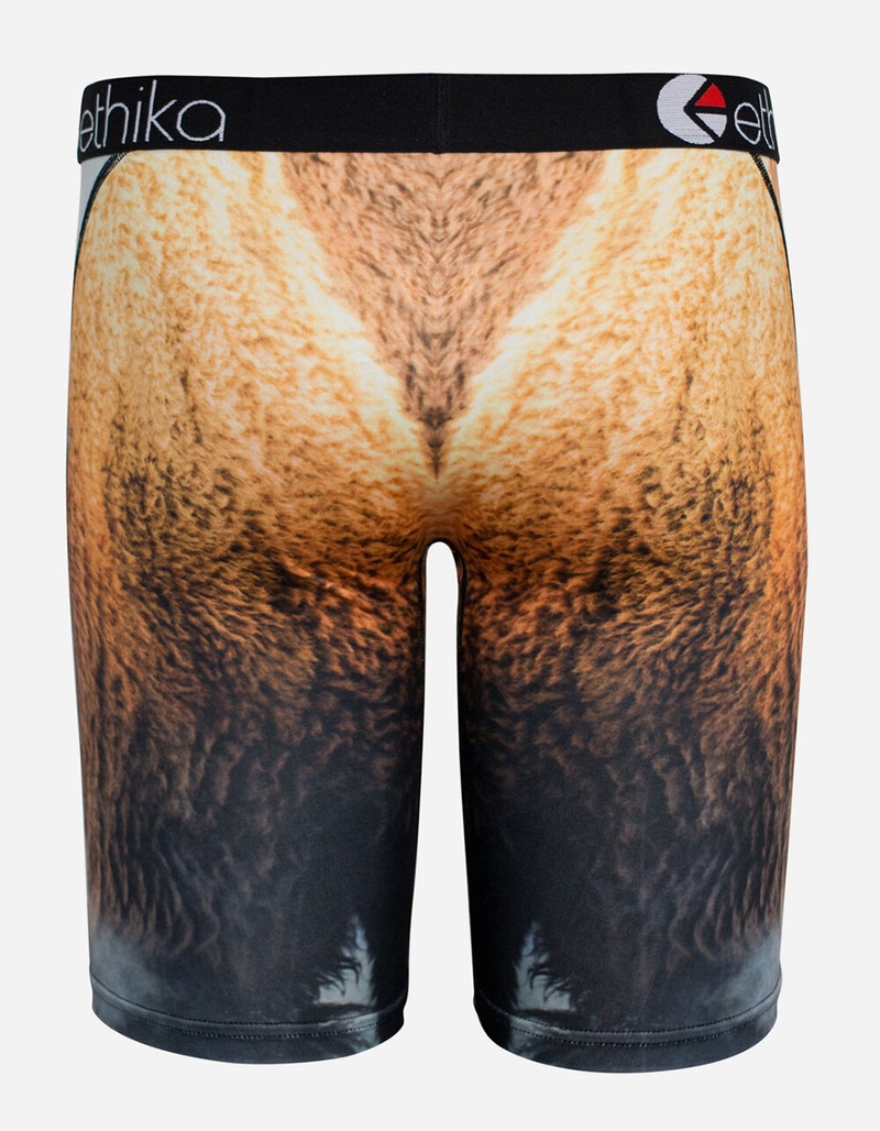 ETHIKA Myke Bison Staple Boys Underwear image number 2