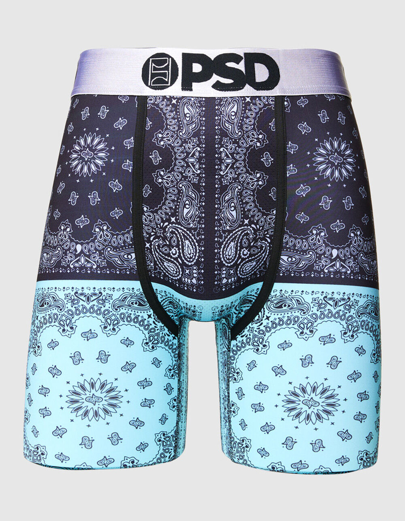 PSD Sliver Split Mens Boxer Briefs image number 0