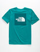 THE NORTH FACE Red Box Boys Forest T-Shirt image number 1