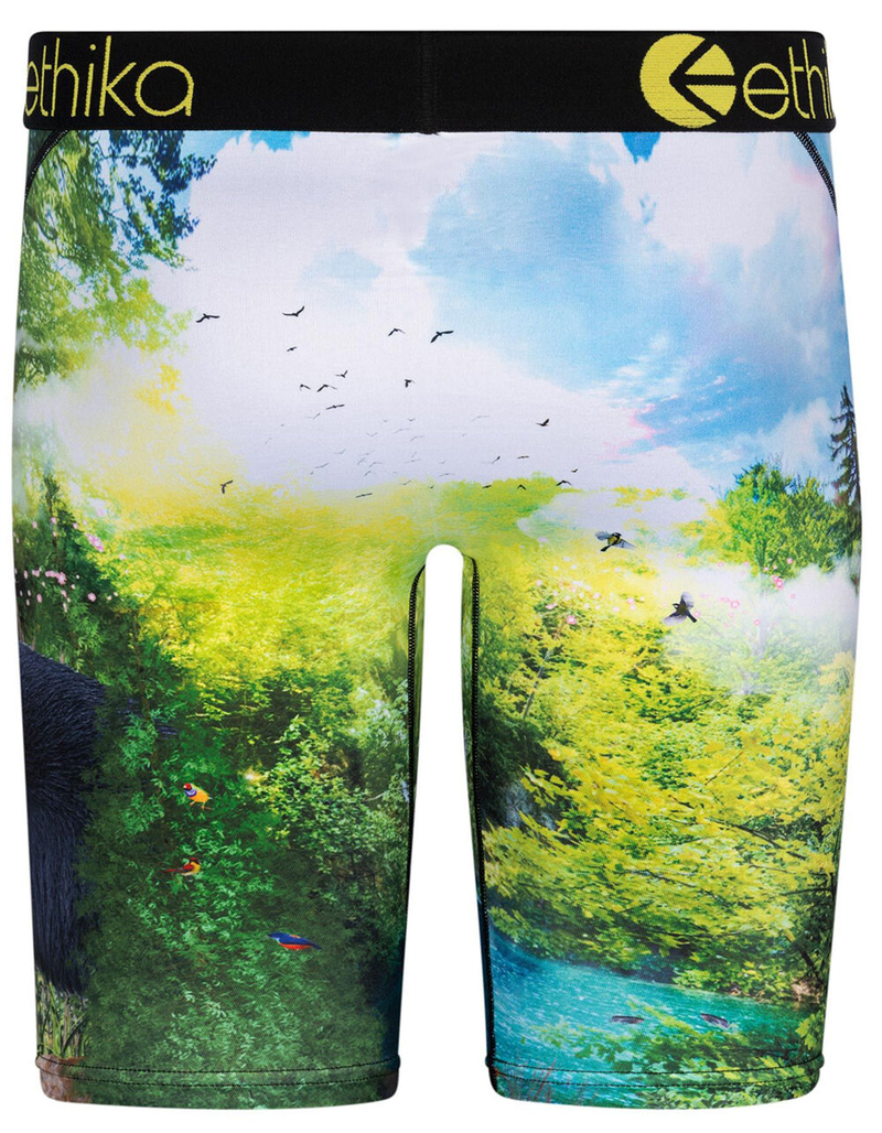 ETHIKA My Time Mens Boxer Briefs image number 2