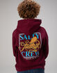 SALTY CREW Ink Slinger Boys Hoodie image number 1