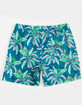 HURLEY Cannonball Mens Volley Shorts image number 3