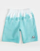 CHAMPION Land & Sea Boys Sweat Shorts image number 1