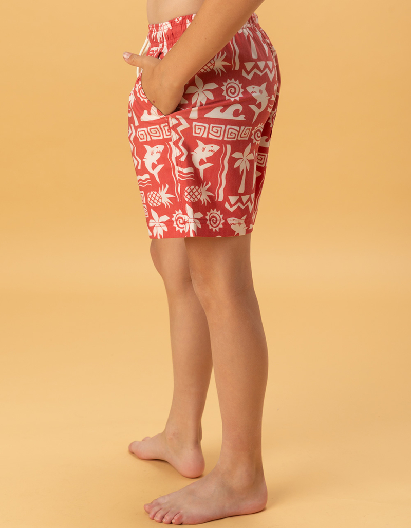 RSQ Boys Matisse Swim Trunks image number 3