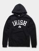 IRELAND Collegiate Irish Distressed Unisex Hoodie image number 1