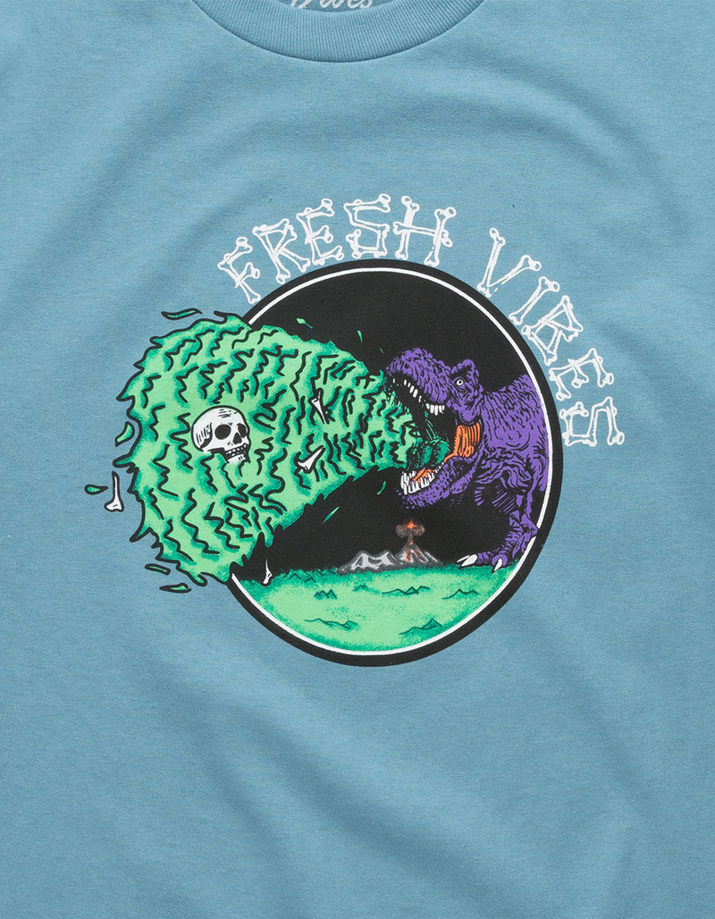 FRESH VIBES T-Rex Slate Blue Boys T-Shirt image number 1