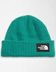 THE NORTH FACE Salty Beanie image number 1