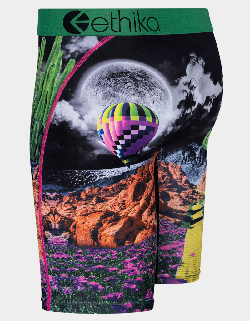 ETHIKA Not In Kansas Mens Staple Boxer Briefs image number 1