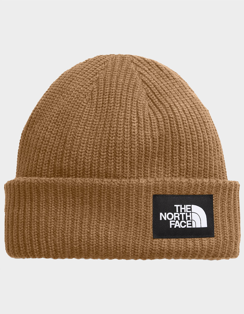 THE NORTH FACE Salty Beanie image number 0