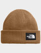 THE NORTH FACE Salty Beanie image number 1