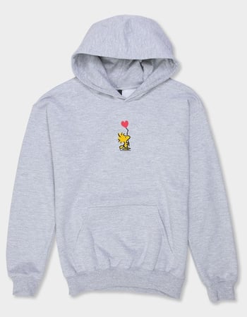 PEANUTS Woodstock Balloon Heart Unisex Kids Hoodie Primary Image