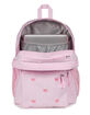 JANSPORT Big Plans FX Backpack image number 3