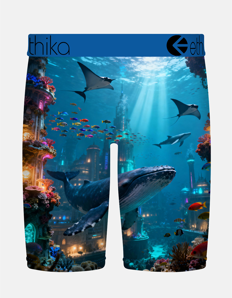 ETHIKA Wadaworld Staple Mens Boxer Briefs image number 1