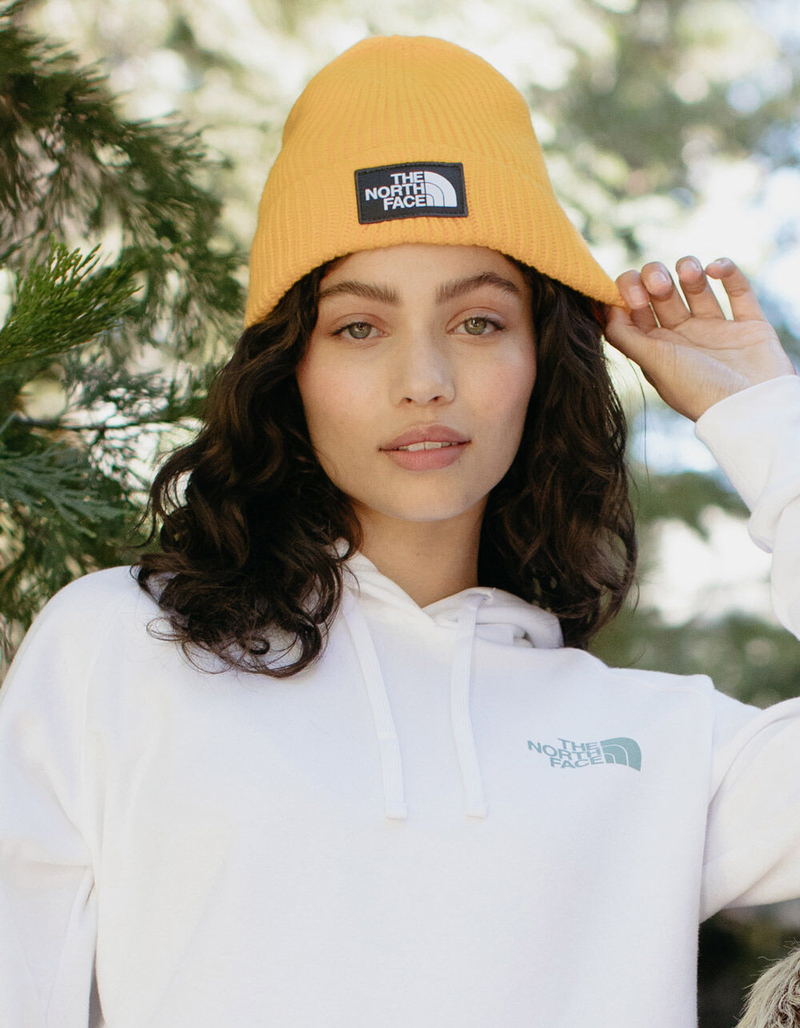 THE NORTH FACE Logo Box Beanie image number 1