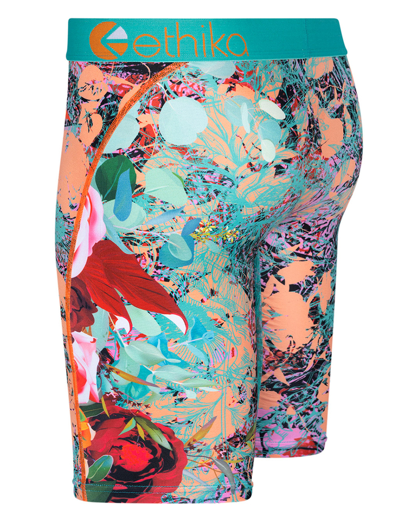ETHIKA The Botanist Staple Boys Boxer Briefs image number 1
