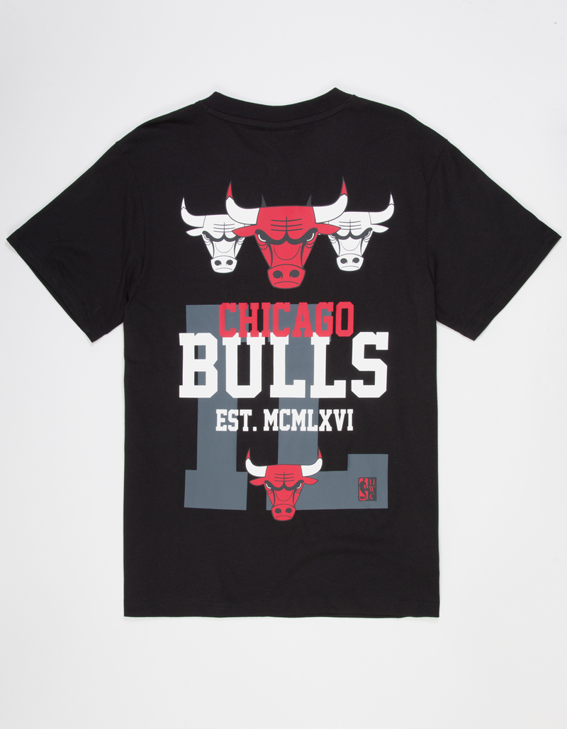 MITCHELL & NESS Chicago Bulls Home Team Mens Tee image number 0