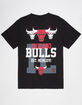 MITCHELL & NESS Chicago Bulls Home Team Mens Tee image number 1
