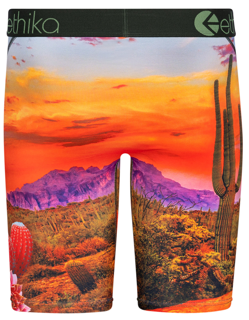 ETHIKA Desert Dog Staple Mens Boxer Briefs image number 2