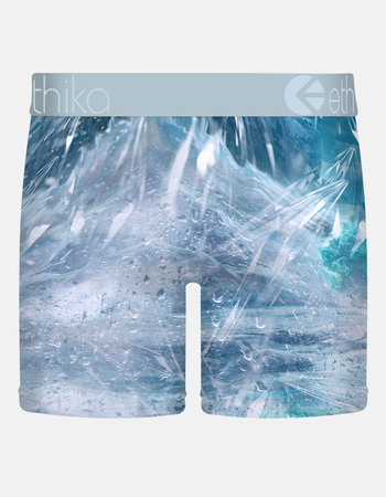 ETHIKA Polar Mid Mens Boxer Briefs Alternative Image
