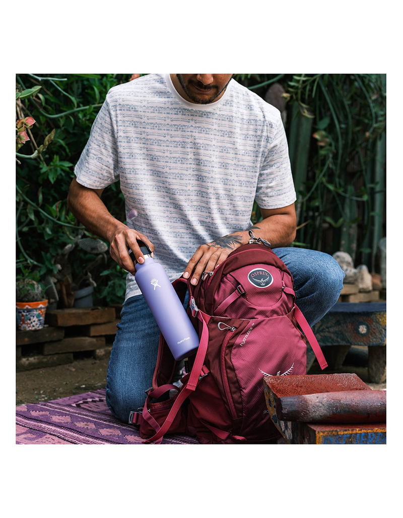 HYDRO FLASK 24 oz Standard Mouth With Straw Lid Water Bottle image number 4