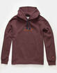 NIKE SB Premium GFX Mens Hoodie image number 2