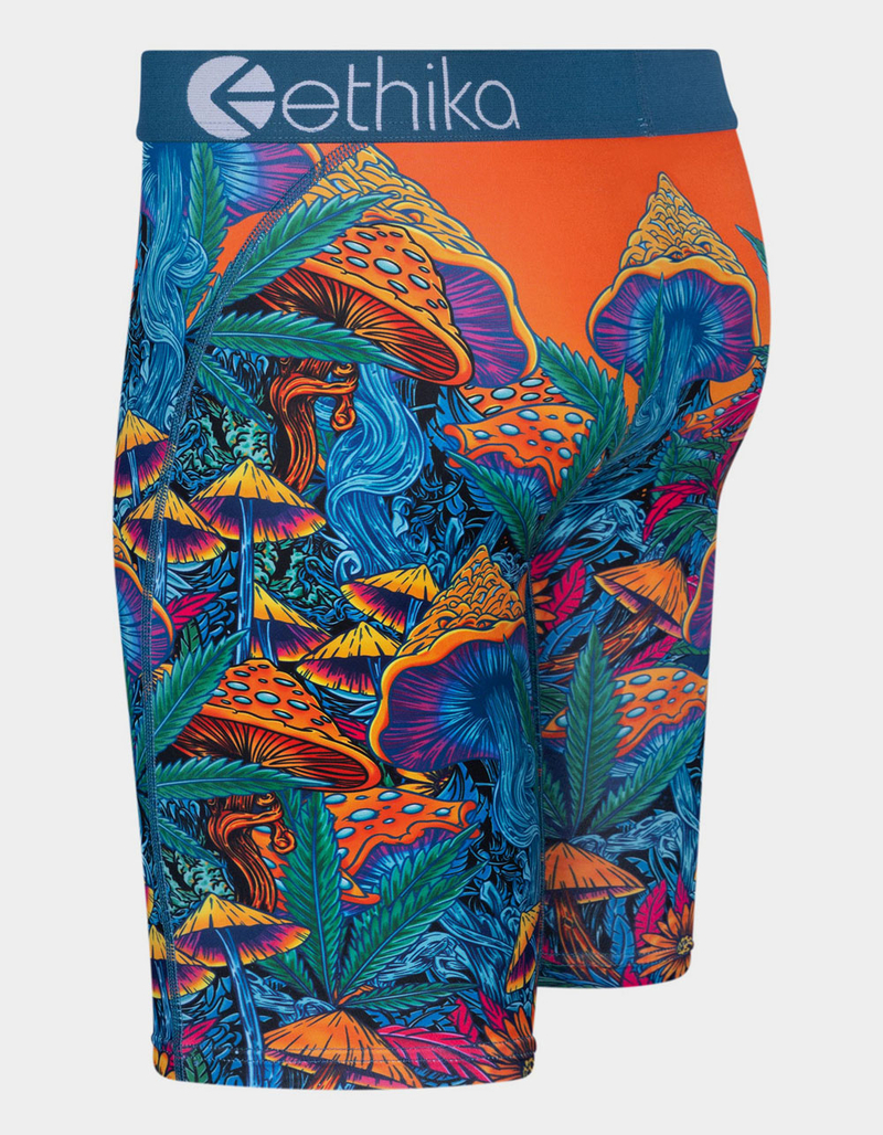 ETHIKA Psychedelic Field Staple Mens Boxer Briefs image number 1