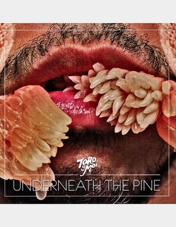 TORO Y MOI Underneath The Pine LP Primary Image