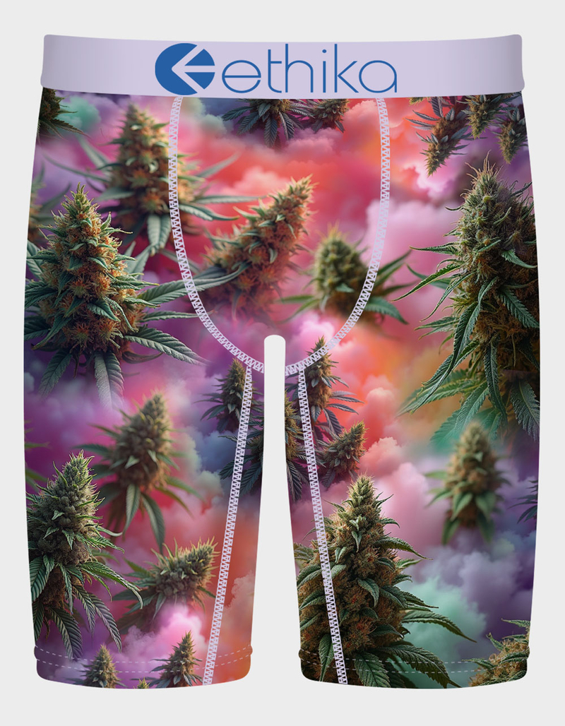 ETHIKA Zodiac Mens Boxer Briefs image number 0