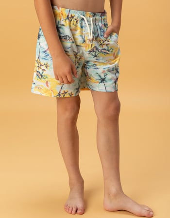 RSQ Boys Water Color Scenic Swim Trunks Primary Image