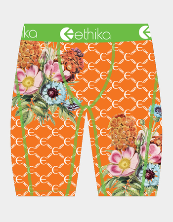 ETHIKA Botaness Staple Boys Boxer Briefs Primary Image