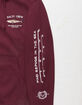 SALTY CREW Bruce Burgundy Mens Hoodie image number 2