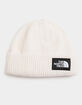 THE NORTH FACE Salty Dog Beanie image number 1