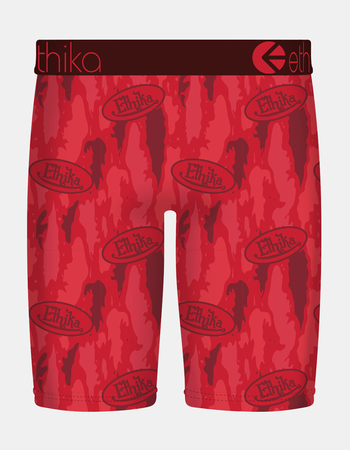 ETHIKA Hawt Staple Boys Boxer Briefs Alternative Image