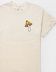 NEFF Thrill Of Nature Mens Tee image number 4