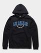LOS ANGELES Olive Branch Unisex Hoodie image number 1