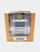 DUNDER MIFFLIN Paper Ream Succulent Planter Pot image number 2