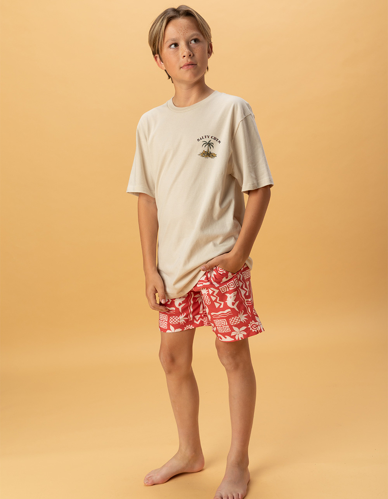 RSQ Boys Matisse Swim Trunks image number 6