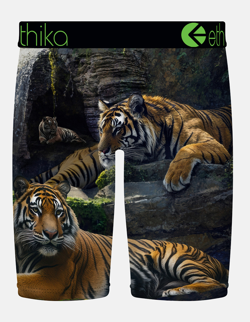 ETHIKA Lurking Staple Boys Boxer Briefs image number 1
