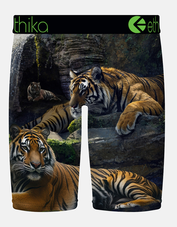 ETHIKA Lurking Staple Boys Boxer Briefs Alternative Image