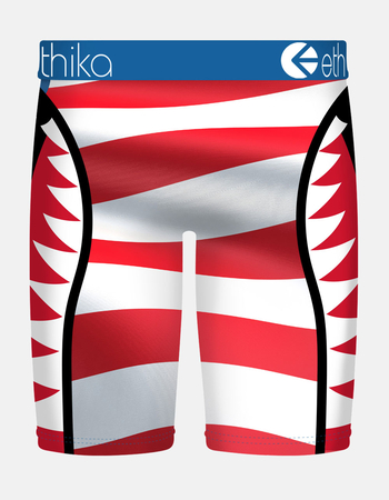 ETHIKA Team USA Staple Boys Boxer Briefs Alternative Image
