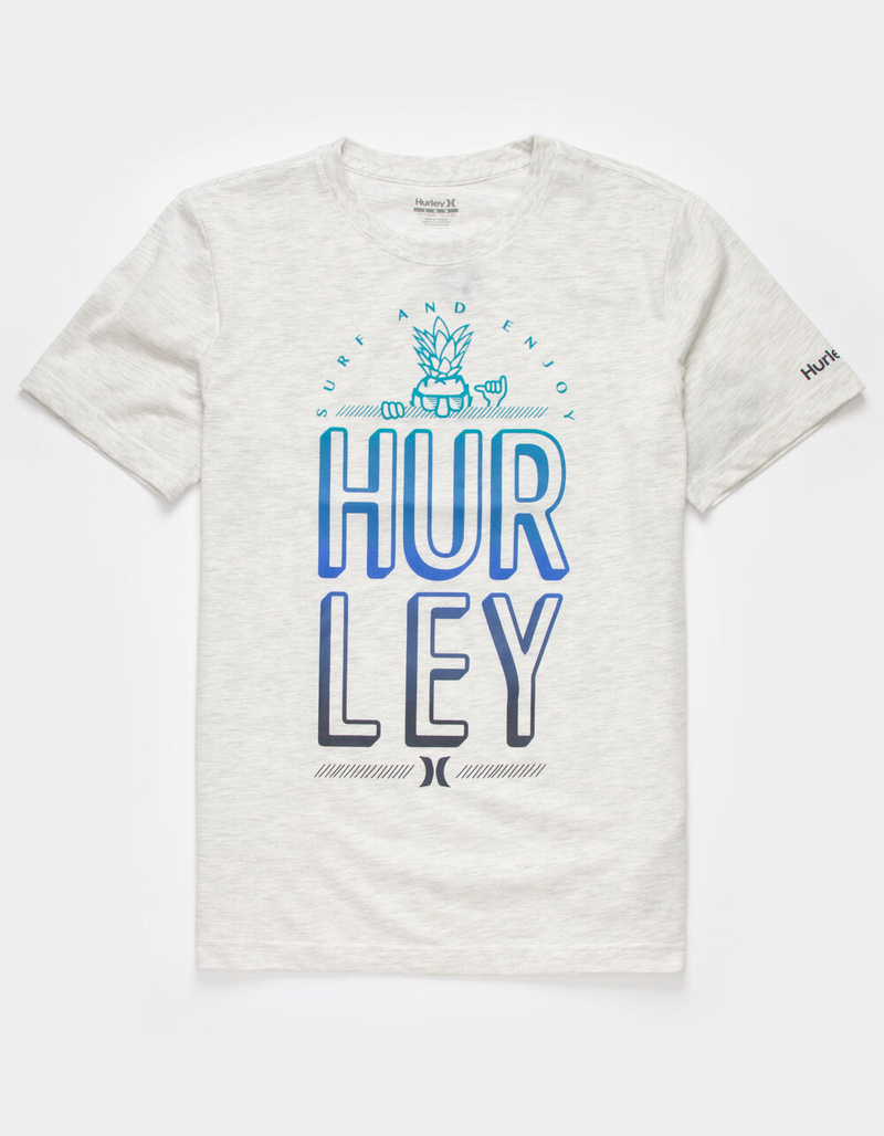 HURLEY Pineapple Brah Boys Light Gray T-Shirt image number 0