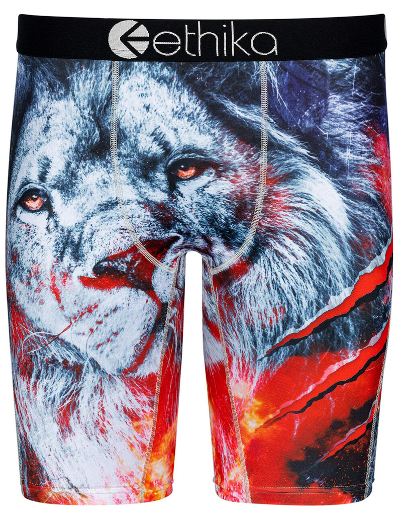 ETHIKA Hood Pride Mens Boxer Briefs image number 0