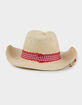Multi Fruit Charm Straw Cowboy Hat image number 4