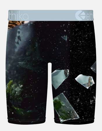 ETHIKA Shatter Cat Staple Mens Boxer Briefs Alternative Image
