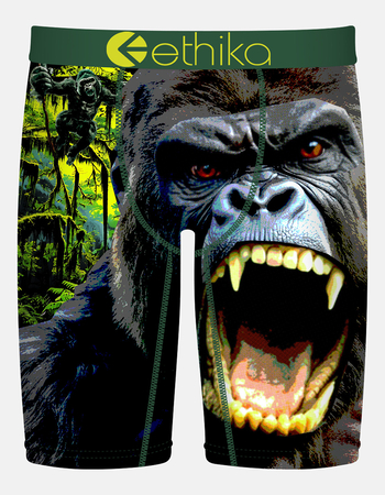 ETHIKA Grim Gorilla Staple Boys Boxer Briefs Primary Image
